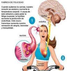 Body Function with activity